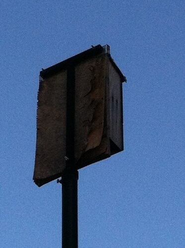 Looker Products Triple Chamber Bat House, Approved by the Organization for Bat Conservation customer photo 1