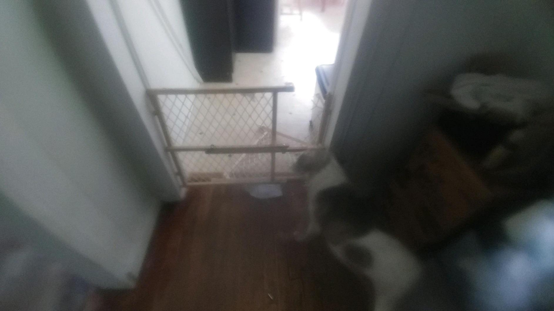 Toddleroo by North States - Diamond Mesh Wooden Baby Gate: Pressure Mounted Baby Gate for Doorways - Adjustable 26.5 to 42 Inches Wide - 23 Inches Tall customer photo 2