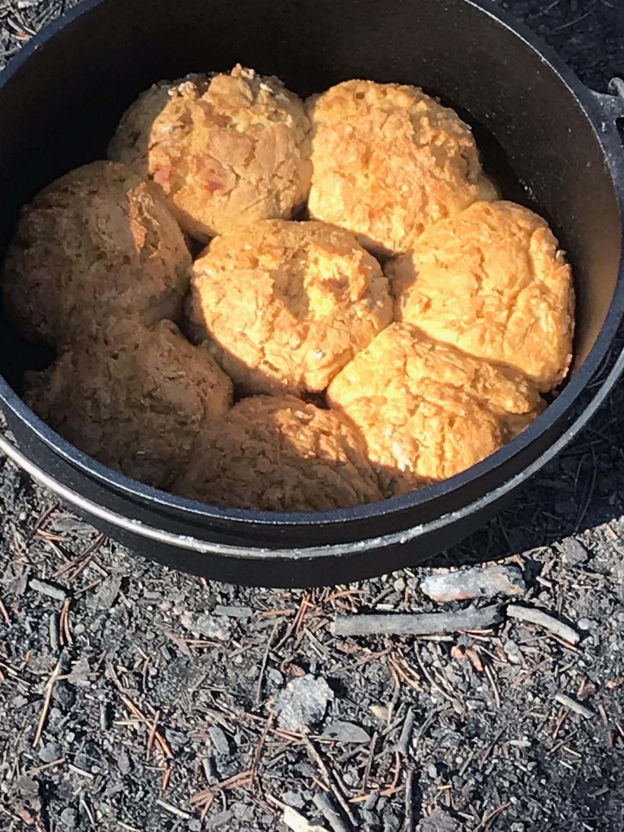 Camp Chef 12 in. Cast Iron Dutch Oven, Pre-Seasoned | Model SDO12, Flanged lid holds coals on top for even heat, Built-in thermometer notch customer photo 2