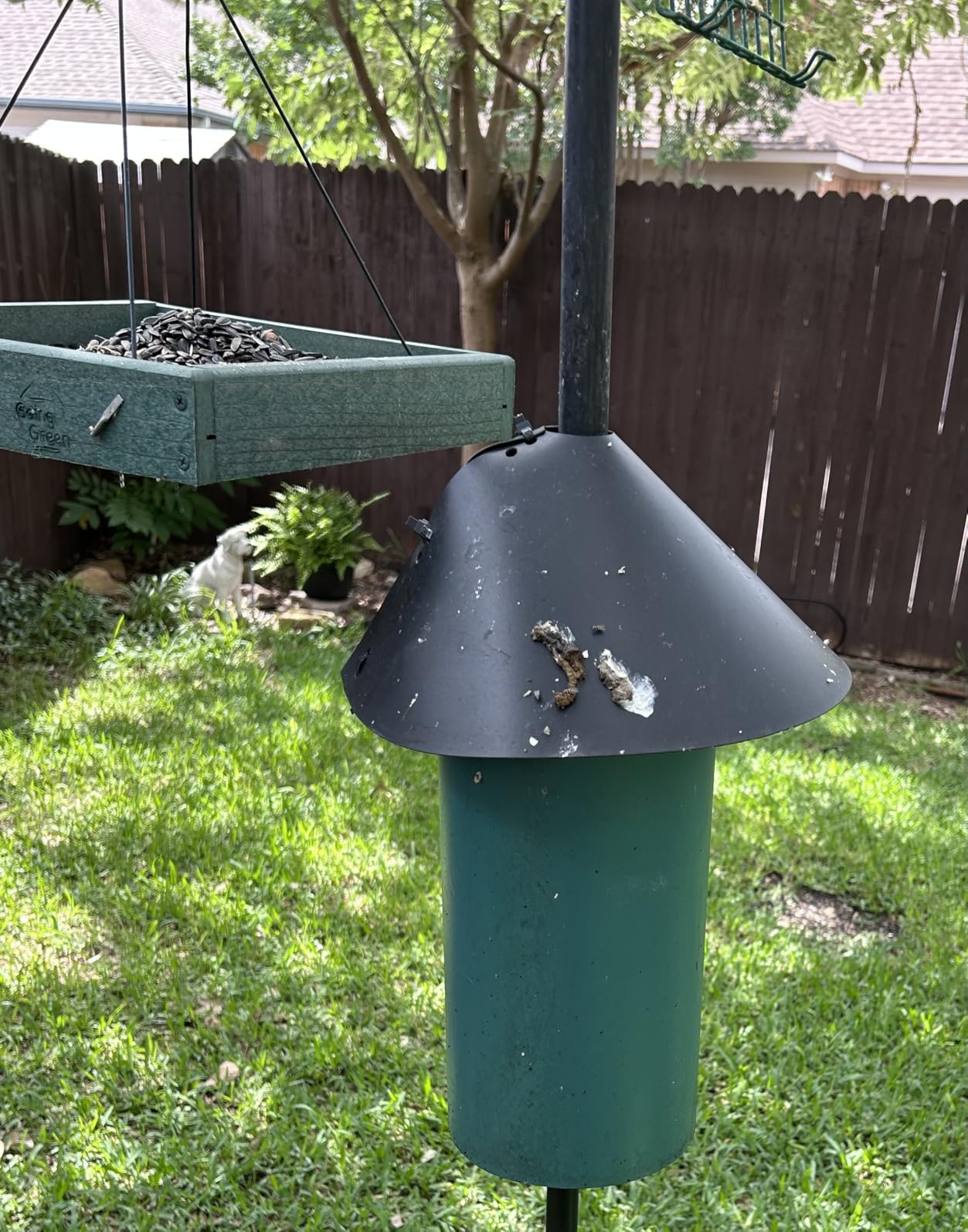 Microbe-Lift Soy-Based Bird Feeder & Bird Bath Cleaner Spray - 32 Oz - Safe Cleaning Solution for Birdhouses, Feeders, & Baths - Deodorizer & Non-Toxic Spray for Birds customer photo 1