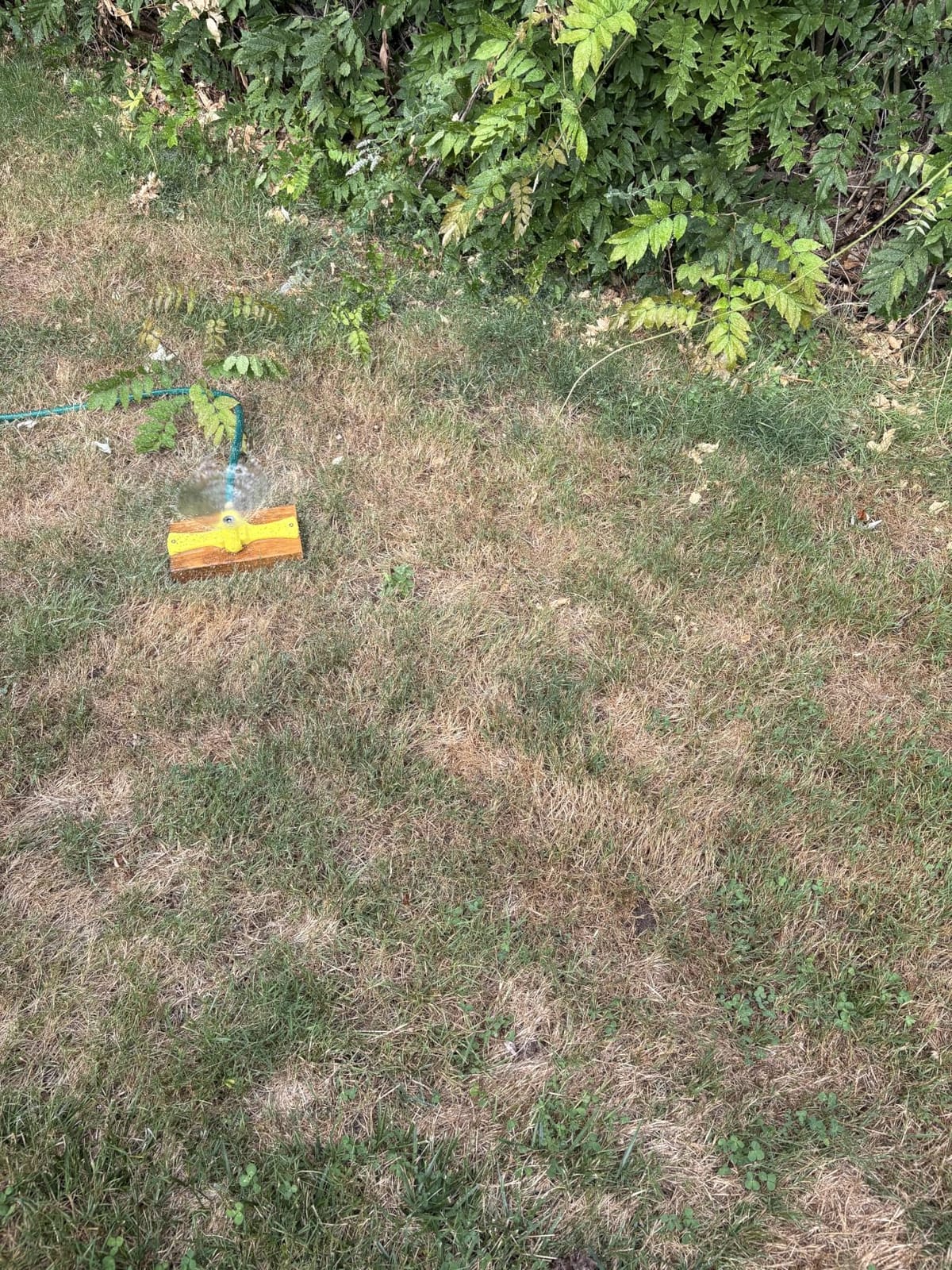 Orbit Port-A-Rain Above-Ground Sprinkler System, Green - 58092 customer photo 1