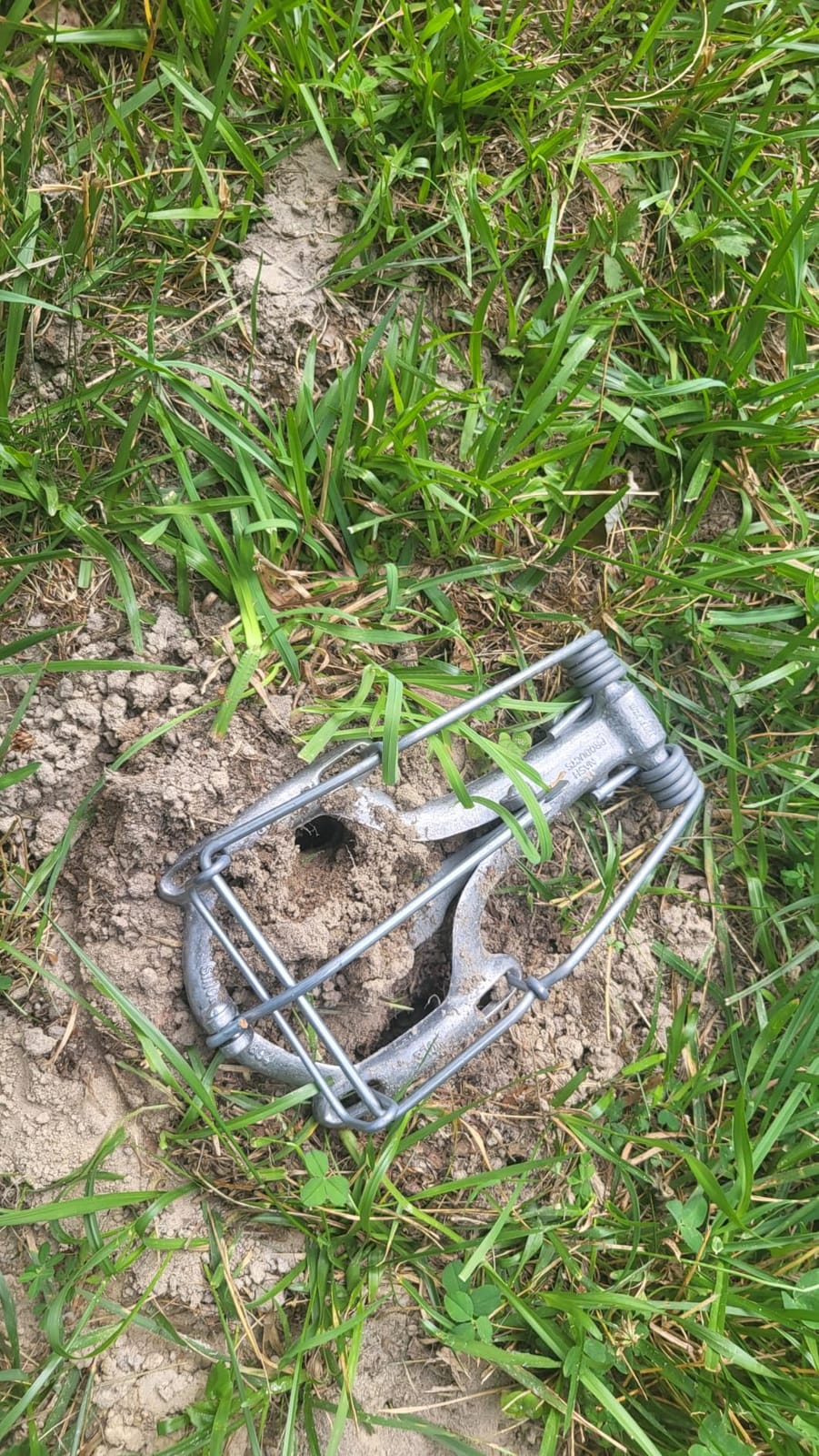 Nash 100 Choker Loop Mole Trap customer photo 2