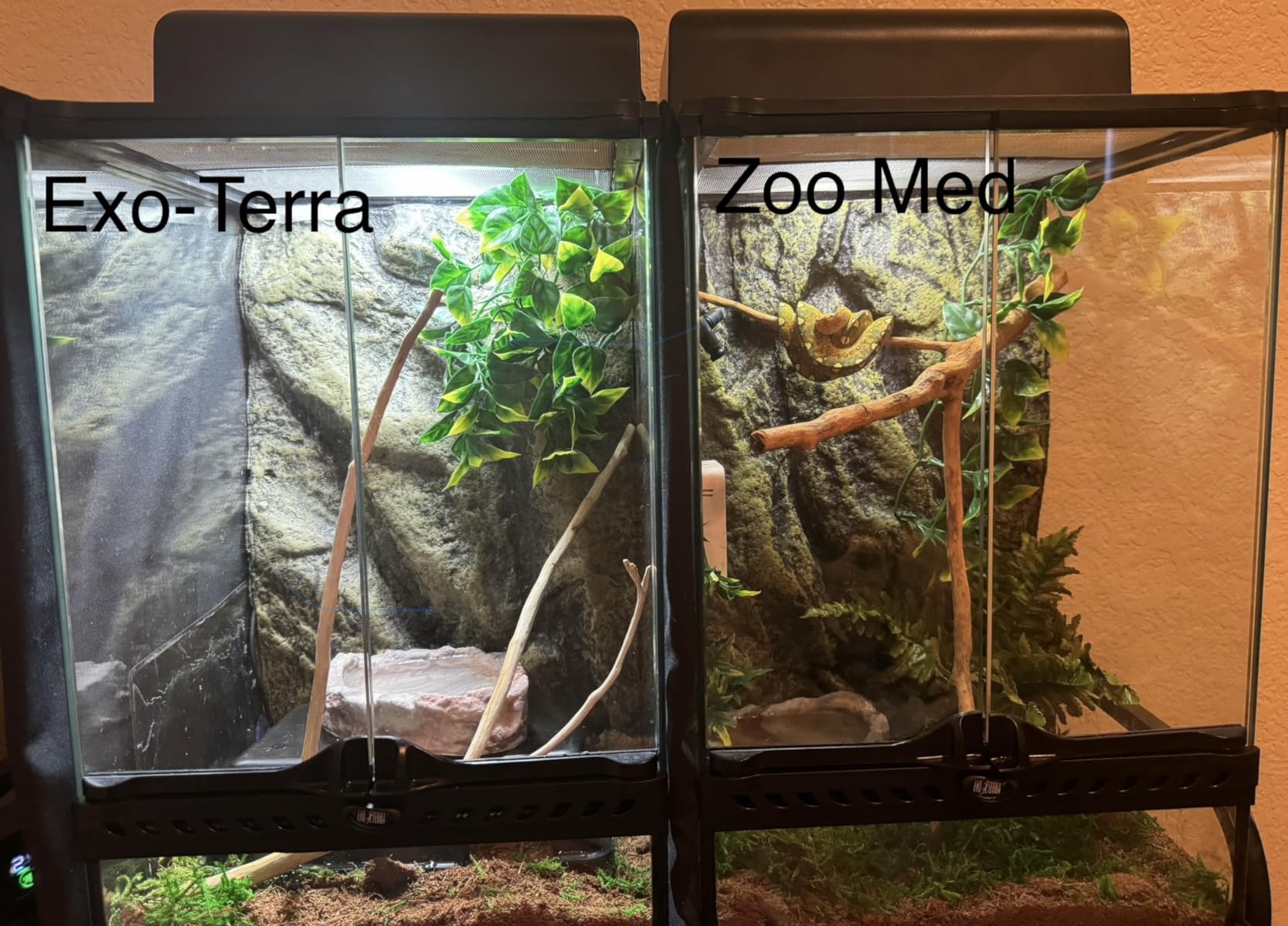 Repti-Glo 2.0 Compact Fluorescent Full Spectrum Terrarium Lamp, 13-Watt customer photo 2