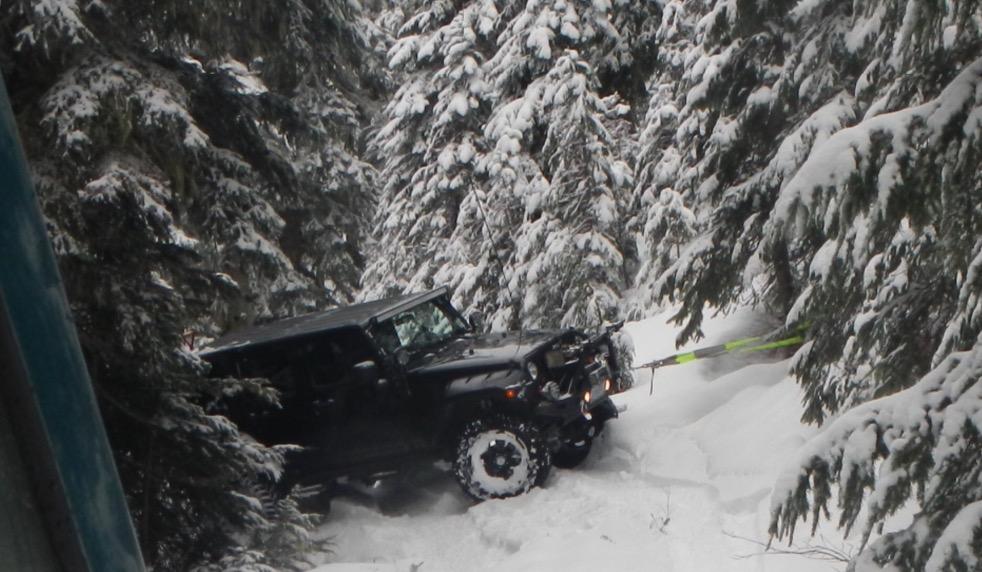 ARB730LB Tree Trunk Protector 10 ft Breaking strength 26,000 lbs customer photo 1