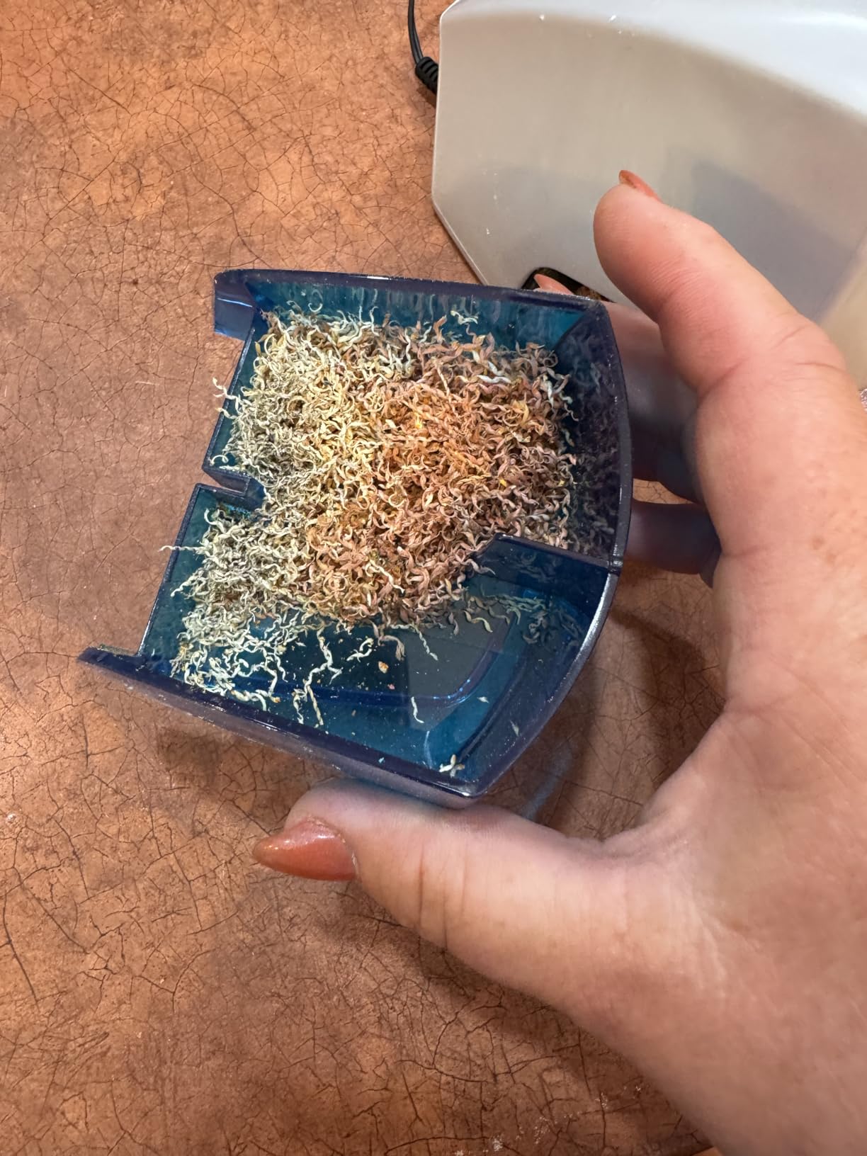 Bostitch Office Electric Pencil Sharpener for Classroom and Desk Use, Blue customer photo 2