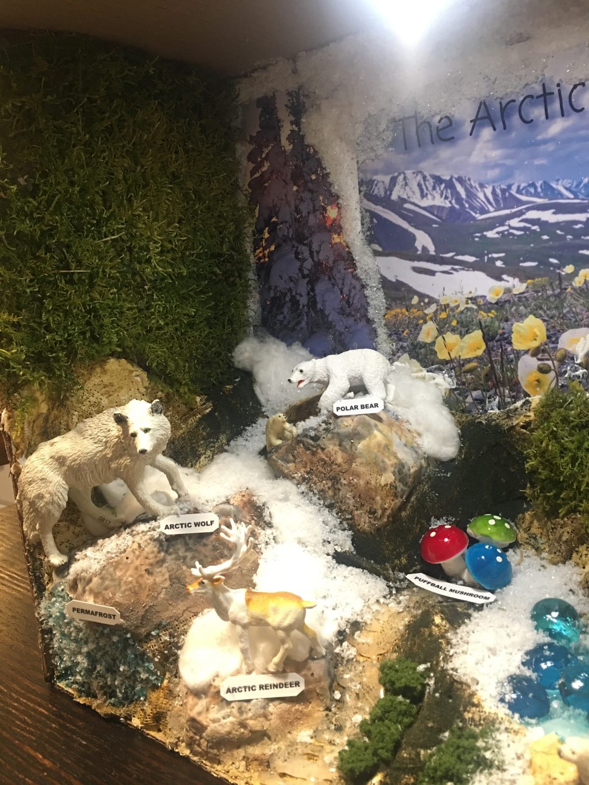 Woodland Scenics Diorama Kit, Mountain customer photo 1