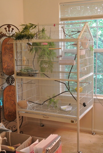Prevue Pet Products Wrought Iron Flight Cage with Stand, Large Birdcage for Pets, Metal Cage Standing Birdcage, Black Hammertone Finish | Large Birdcage for Parakeets, Canaries, Finches, Cockatiels, Lovebirds, & Green Cheeks customer photo 2