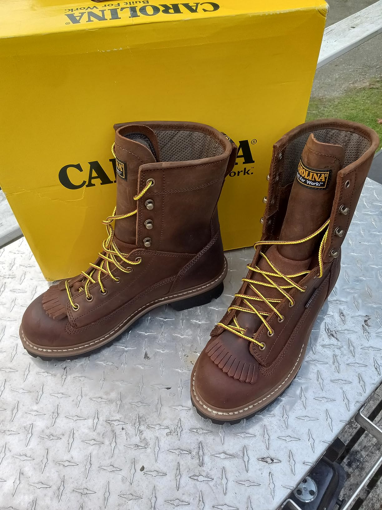 Carolina Spruce 8