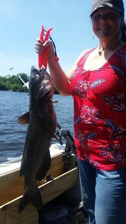 Scotty #230 Powerlock Rod Holder with #241 Side/Deck Mount, Adjustable Boat Fishing Rod Holder customer photo 2