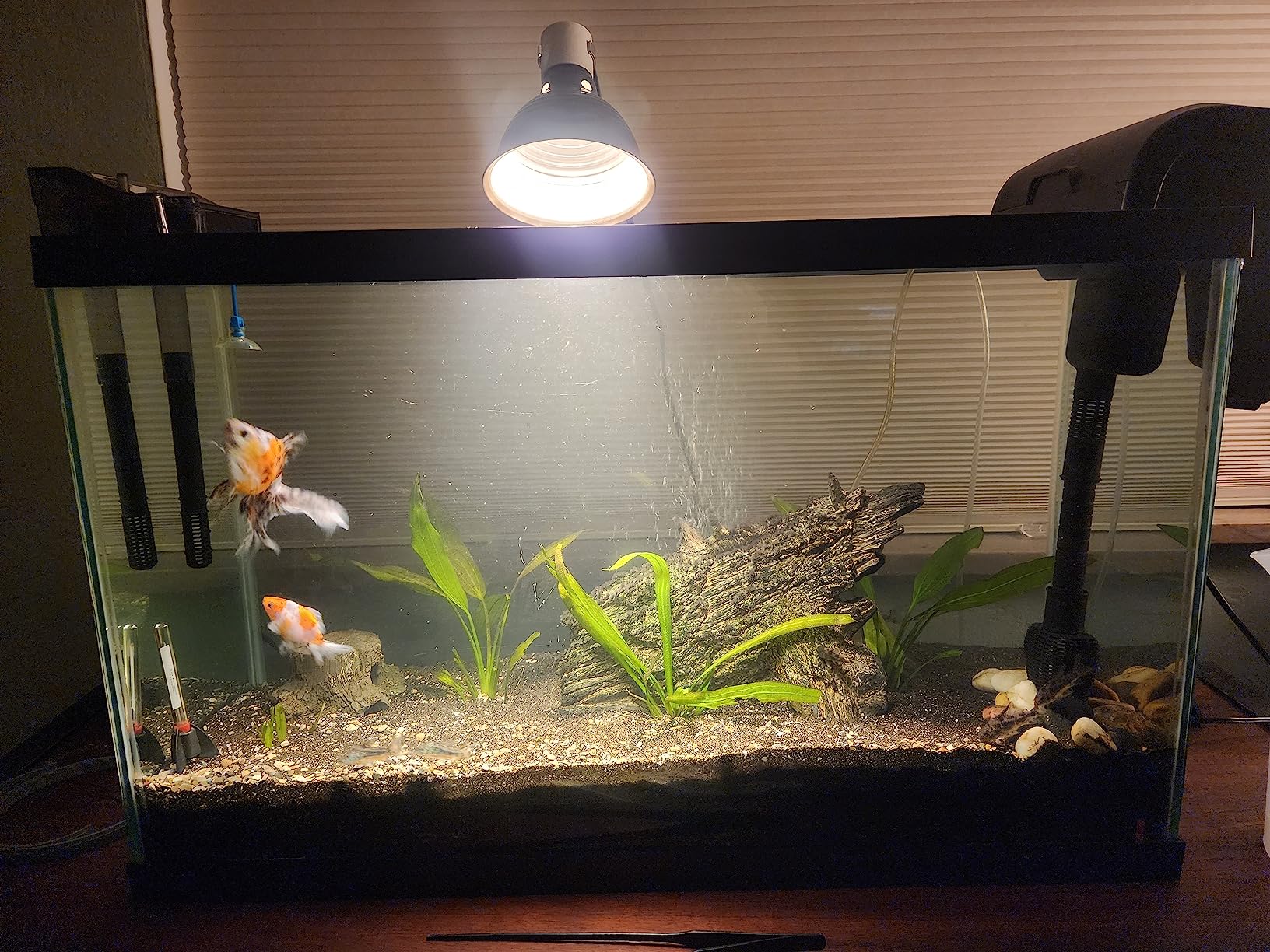 Fluval C3 Power Filter, Fish Tank Filter for Aquariums up to 50 Gal. customer photo 2
