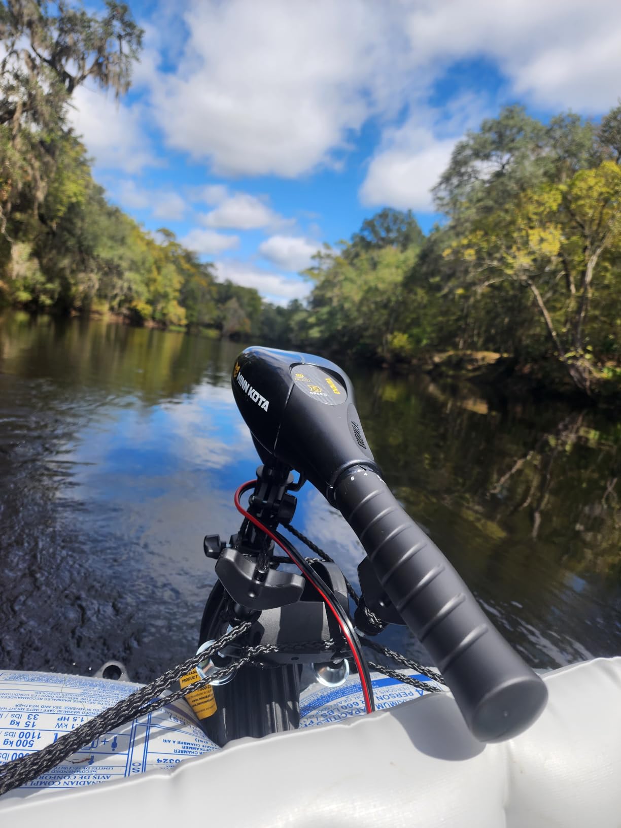Minn Kota Endura C2 30 Freshwater Transom Mounted Trolling Motor (30