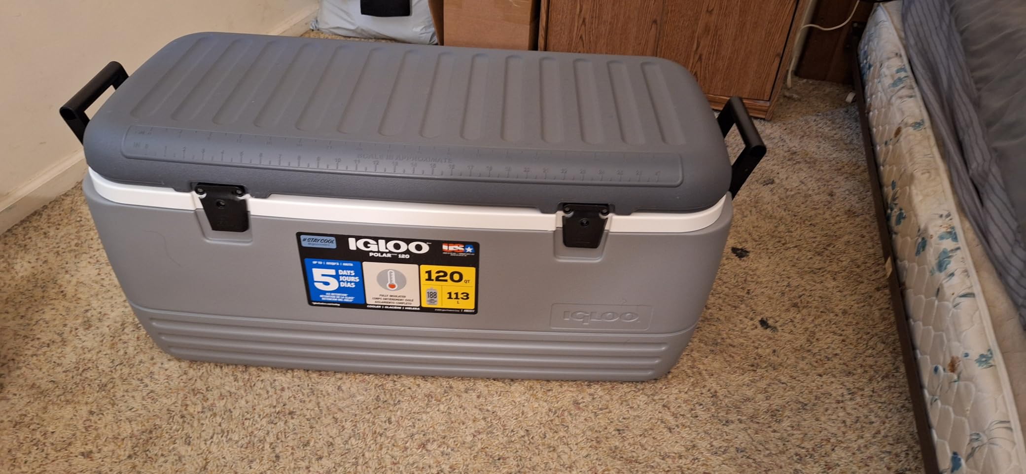 Igloo Hard Cooler | Polar & Party Bar Series | Insulated Ice Chests customer photo 1