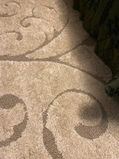 SAFAVIEH Florida Shag Collection Accent Rug - 4' x 6', Grey, Scroll Design, Non-Shedding & Easy Care, High-Low Plush Pile, Ideal for Living Room, Bedroom, Dining Space (SG455-8013) customer photo 2