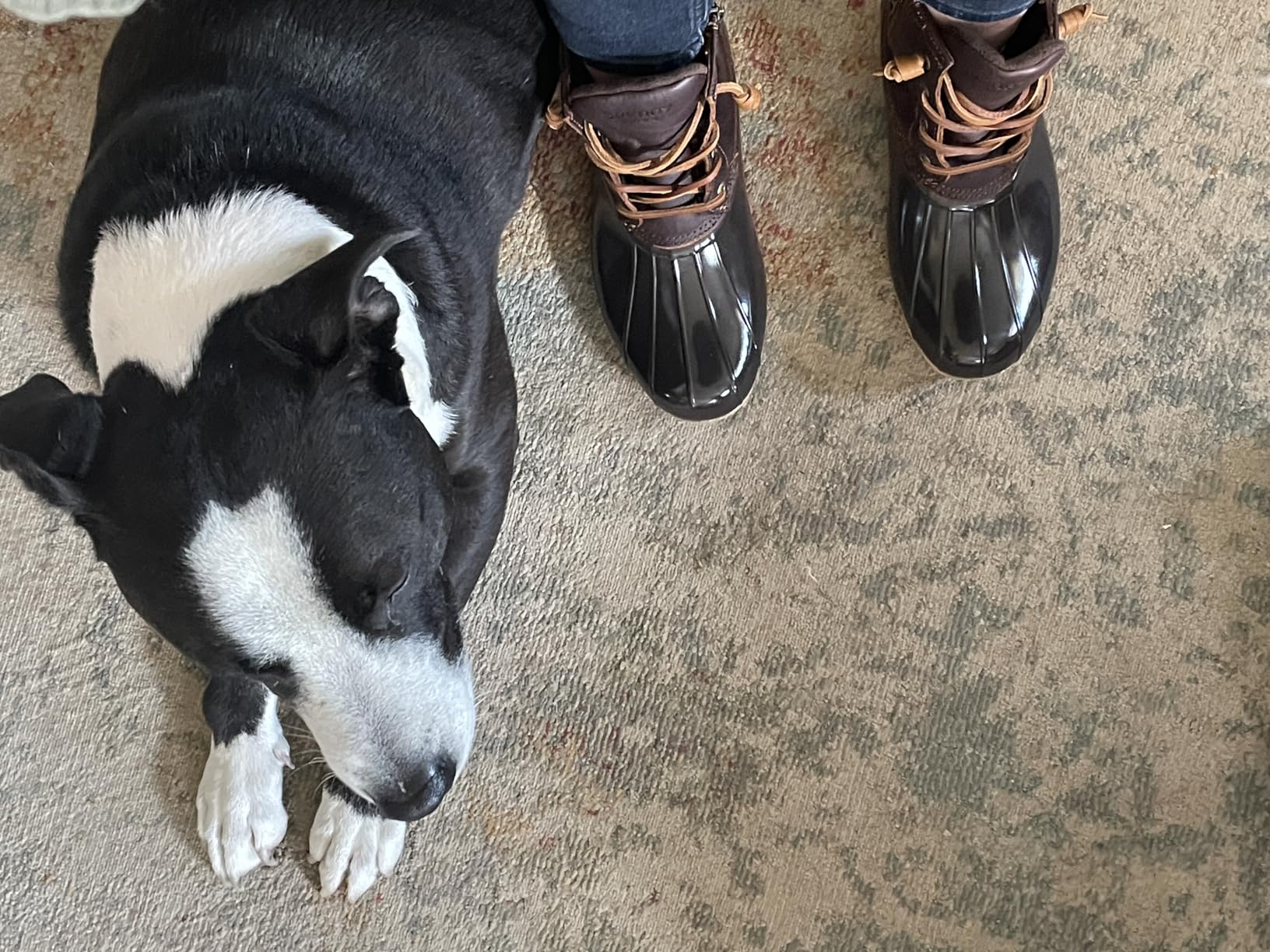 Sperry Women's Saltwater Seasonal Duck Boot customer photo 1