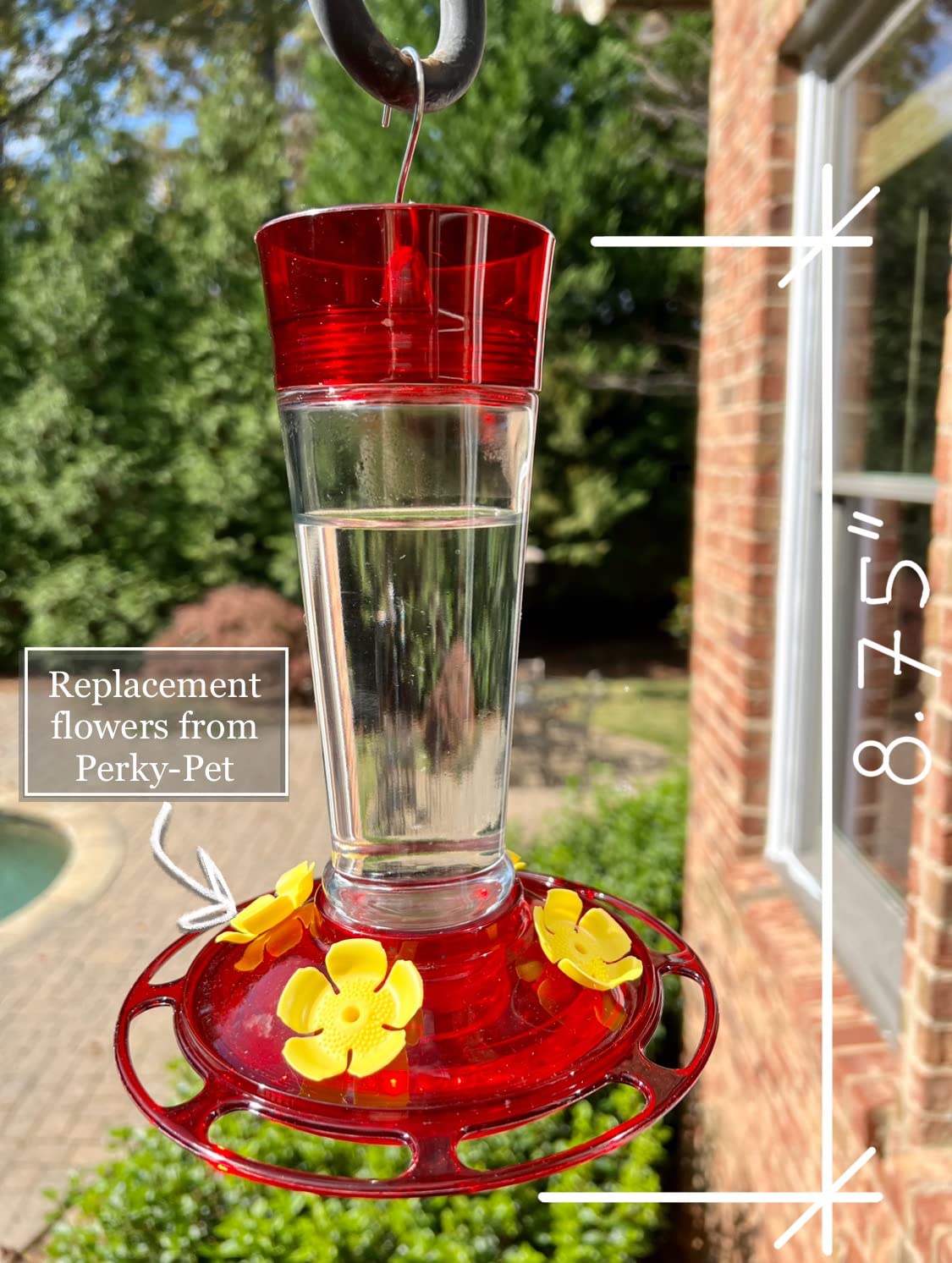 More Birds Bird Health+ Ruby Hummingbird Feeder, Glass Hummingbird Feeders for Outdoors, 4 Feeding Stations, 10 Ounces, Ruby Red customer photo 1