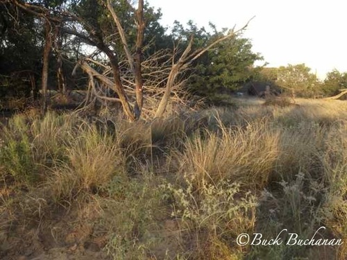 GhostBlind Ground Hunting Blind with Mirrored Panels, Ideal for Turkey and Deer Hunting customer photo 1