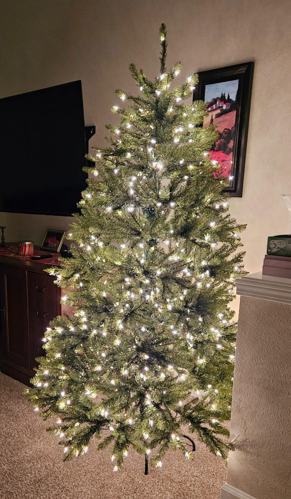 National Tree Company 10 ft Pre-Lit Dunhill Fir Artificial Christmas Tree, 1,200 Clear Lights, 5,090 Tips, Includes Stand, Green customer photo 1
