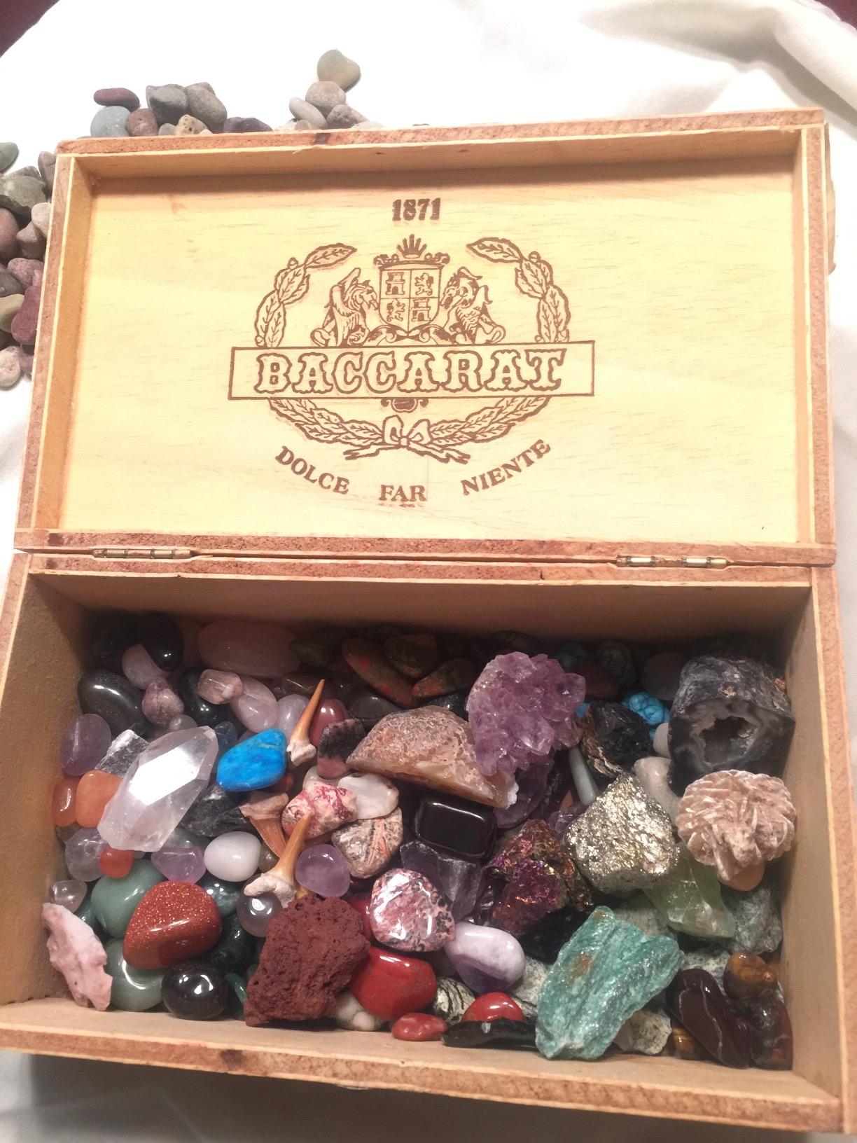 DANCING BEAR Rock, Mineral & Geodes Treasure Hunt Activity Kit (250 Pc Set) Real Shark Teeth Fossils, ID Sheet & Rock Book, STEM customer photo 1