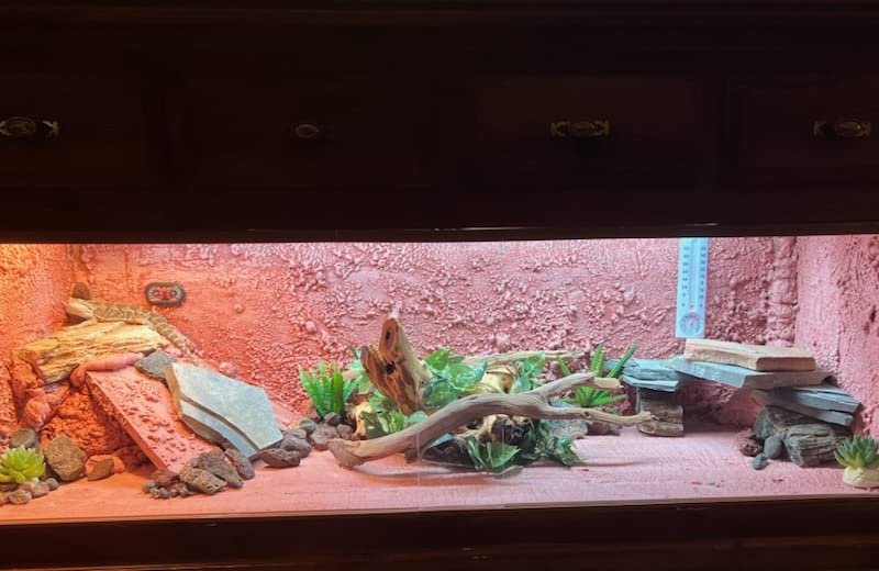 ReptiSun T5 HO Terrarium Hood (48