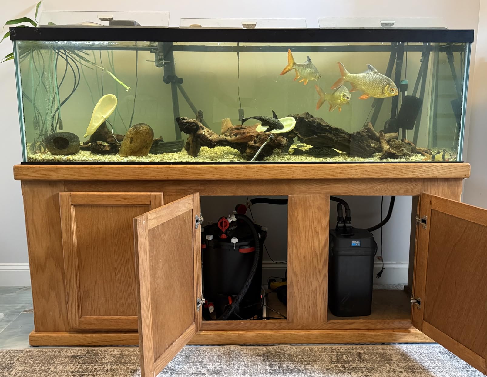 Fluval FX6 High Performance Aquarium Filter, Canister Filter for Aquariums up to 400 Gal. customer photo 1