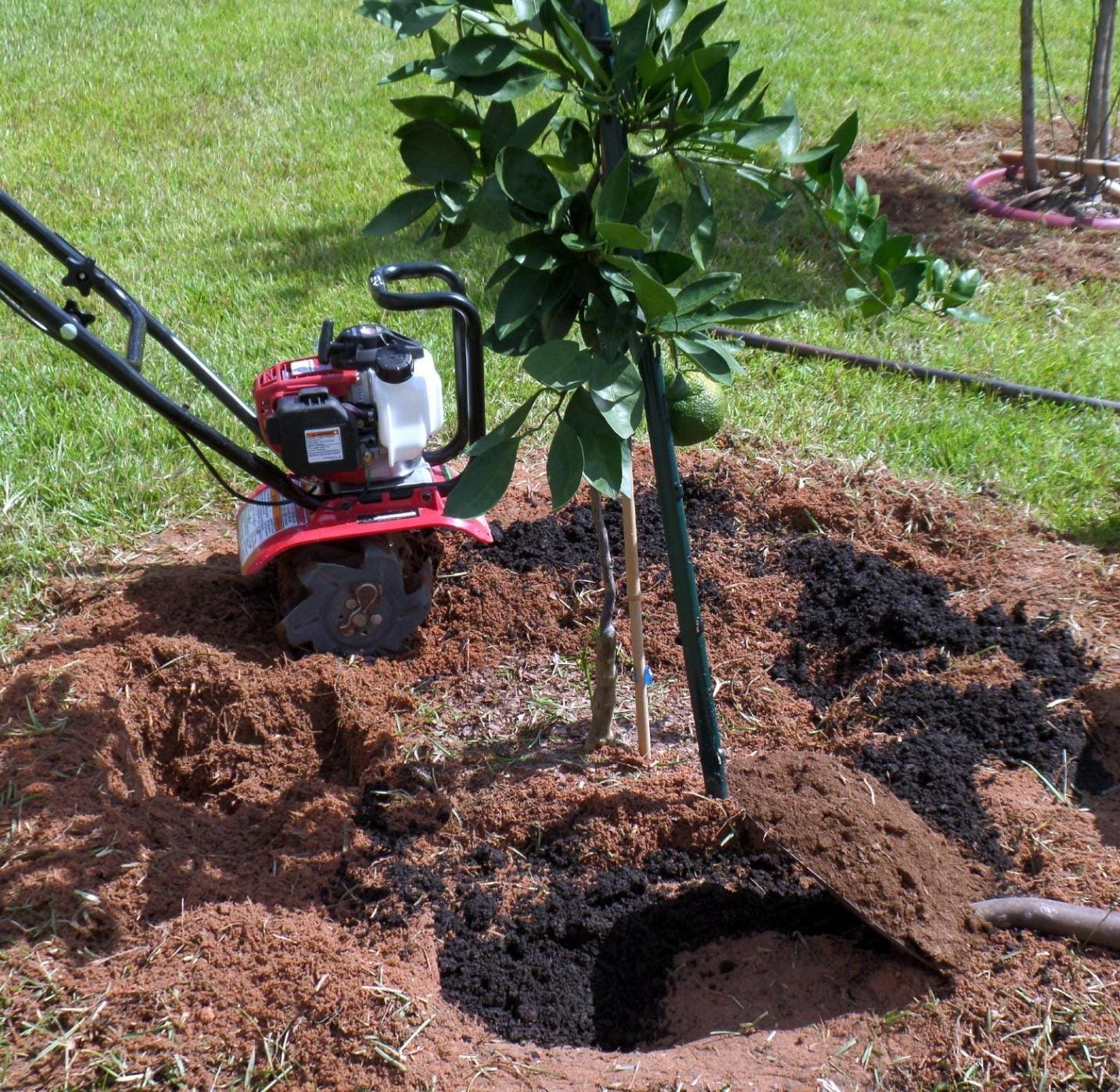Honda FG110 Mini Tiller Cultivator (FG110KiAT) | 6- to 9-Inch Tilling Width, Break New Ground or Prep Soil, Gas Engine, Adjustable Depth Bar customer photo 1