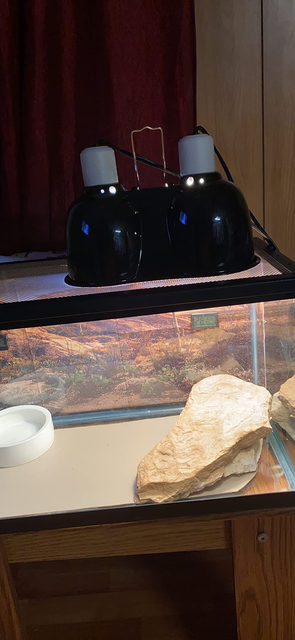 Desert UVB & Heat Lighting Dual Kit customer photo 1