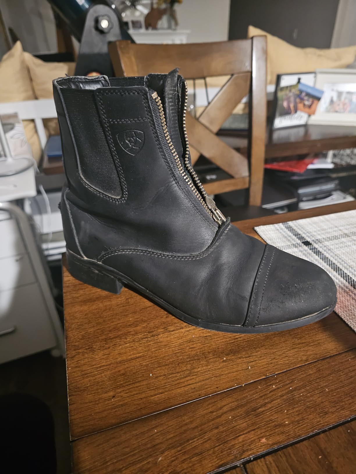 ARIAT Scout Zip Paddock customer photo 1