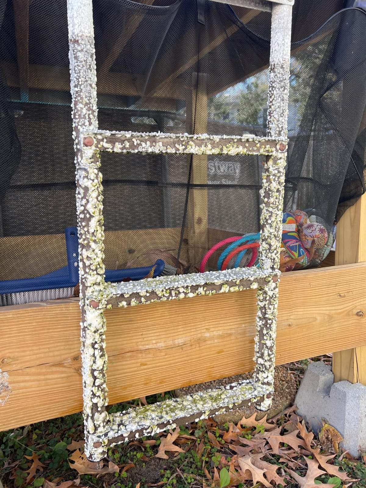 Dock Edge ECO Weld Free Fixed Dock Ladder customer photo 2
