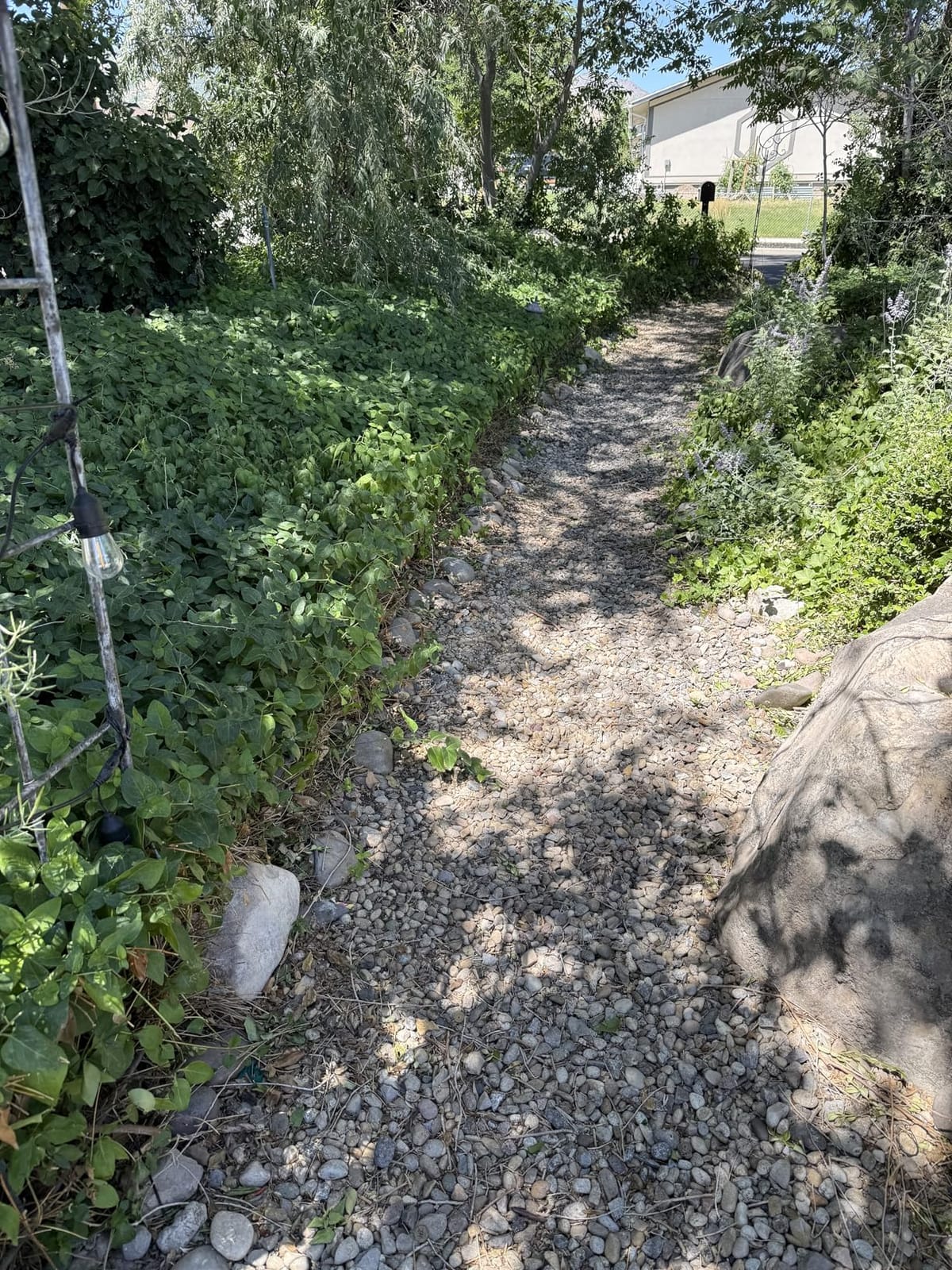 BLACK+DECKER Electric Hedge Trimmer, 17-Inch Corded 3.2 Amp, Dual Action, Reduced Vibration, Cleaner Cut, Lightweight, 3800 Cuts per Min (BEHT150) customer photo 2