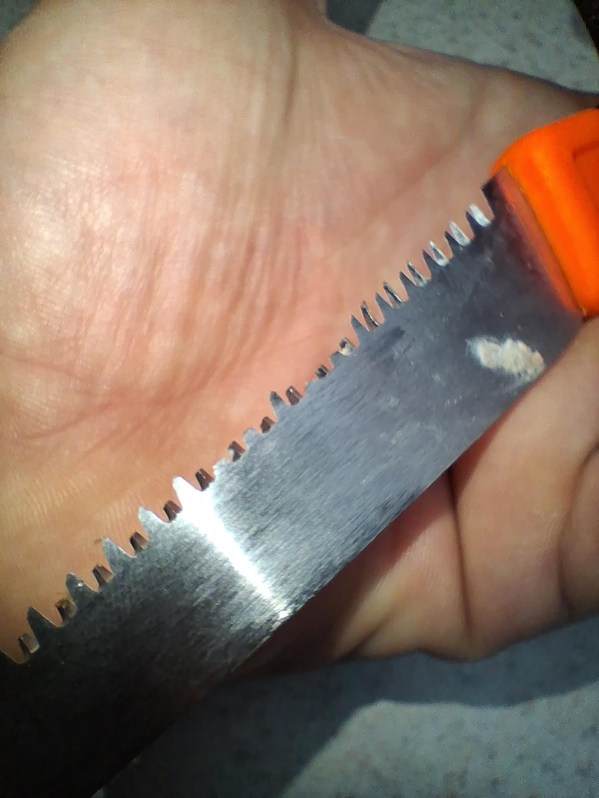 Gerber Vital Pack Compact Folding Saw for Camping and Survival with Sheath customer photo 1
