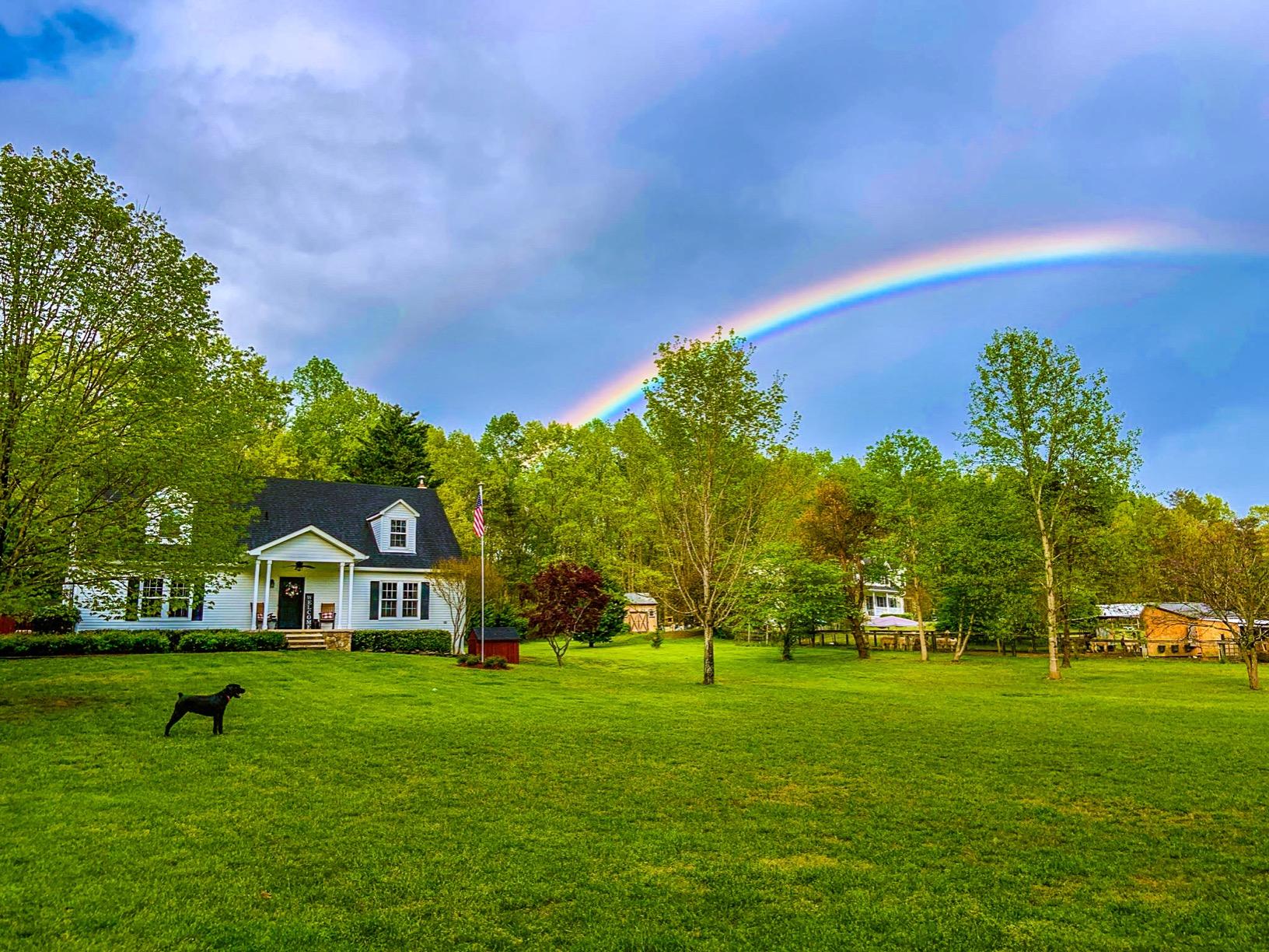 PetSafe Basic In-Ground Dog and Cat Fence - Underground Electric Pet Fence - from the Parent Company of INVISIBLE FENCE Brand customer photo 2