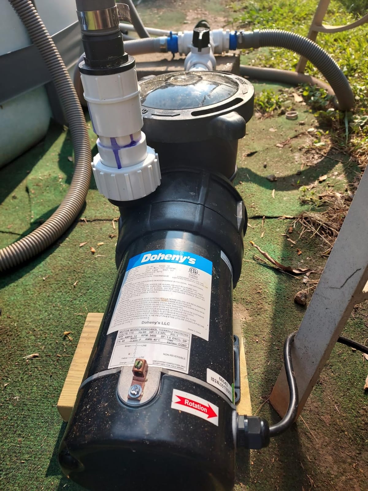 Doheny's 1.5 HP Above Ground Swimming Pool Pump | 115V, 83 GPM (1.2 THP), Stainless Steel Shaft, Reinforced Thermoplastic, Low-Noise, High-Efficiency customer photo 1