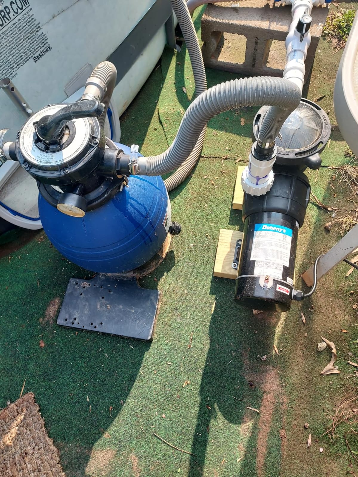 Doheny's 1.5 HP Above Ground Swimming Pool Pump | 115V, 83 GPM (1.2 THP), Stainless Steel Shaft, Reinforced Thermoplastic, Low-Noise, High-Efficiency customer photo 2