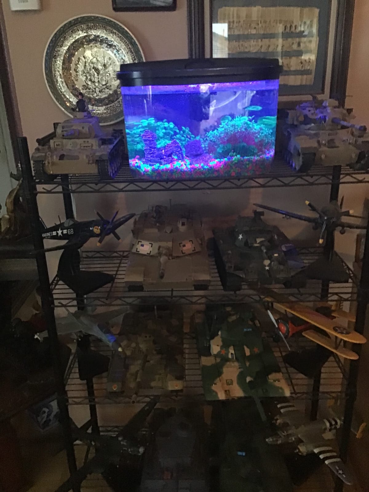 Koller Products 5-Gallon Aquarium Kit with LED Lighting and Power Filter customer photo 1