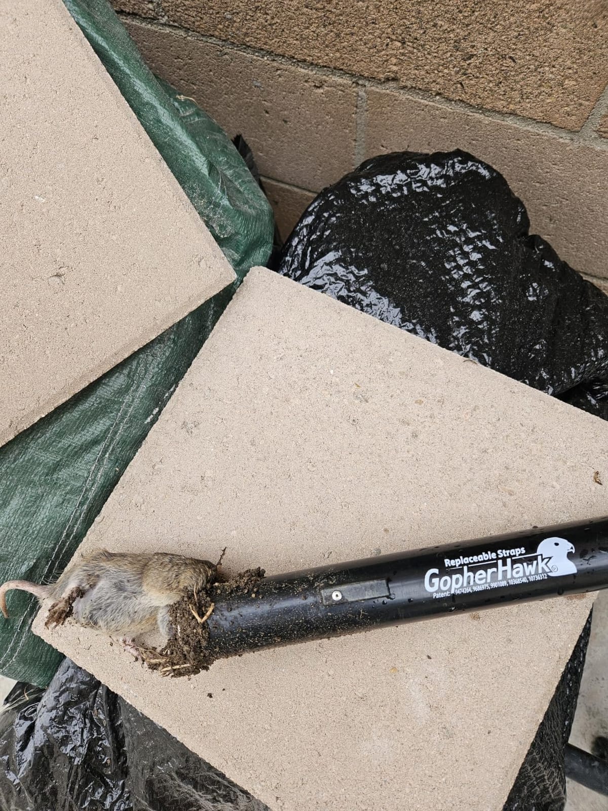 GopherHawk® Trapping Set, Includes Wedge and Probe Tool customer photo 2