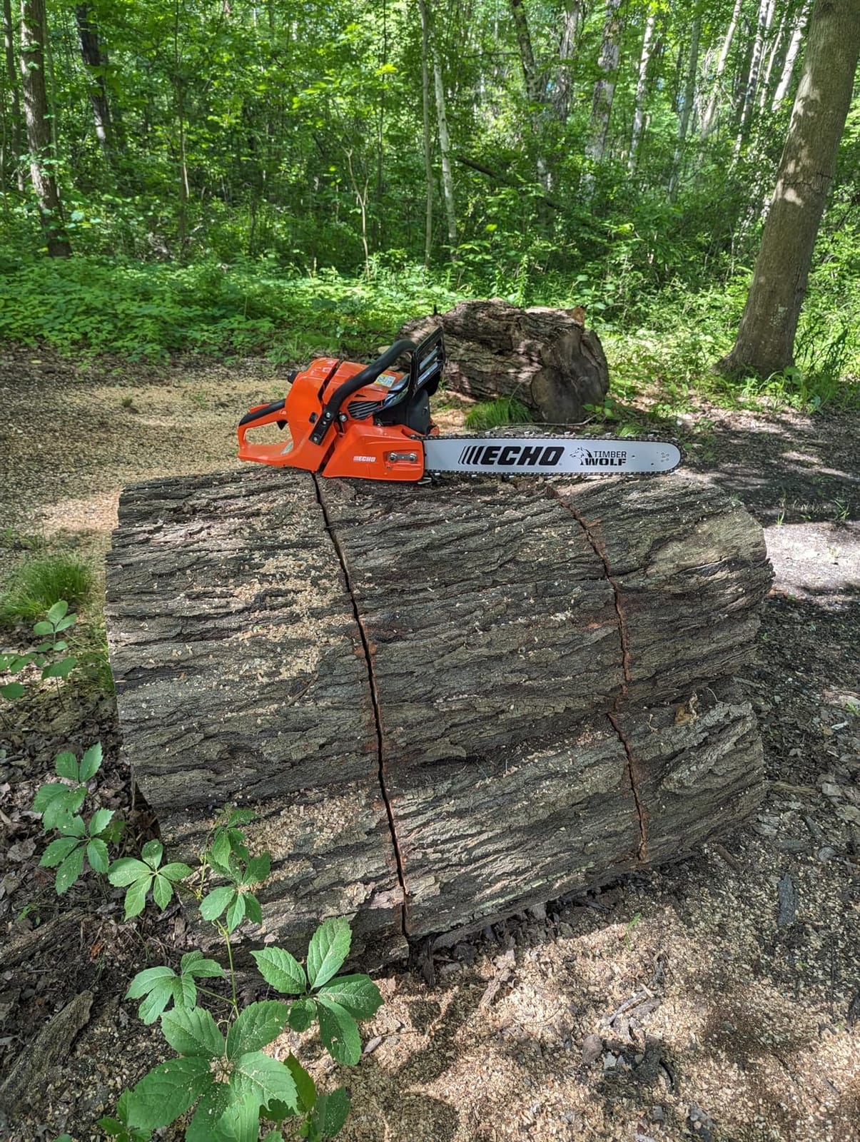 Echo CS-590-20AA 20 in. 59.8 cc Gas Chainsaw customer photo 1