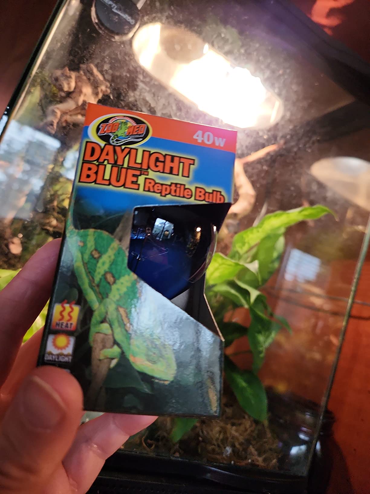 Daylight Blue Reptile Bulb - 40 Watts - Pack of 2 customer photo 1