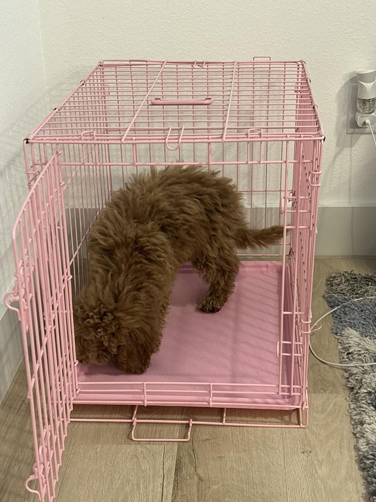 Carlson Pink Secure and Compact Single Door Metal Dog Crate, Small customer photo 1