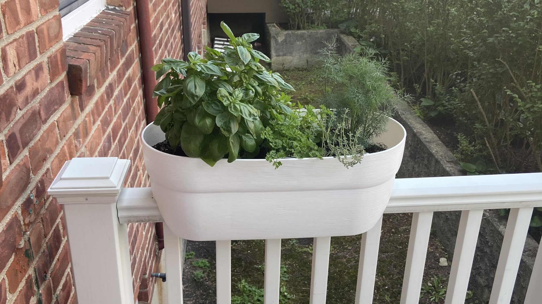 EMSCO Group Bloomers Railing Planter with Drainage Holes - 24