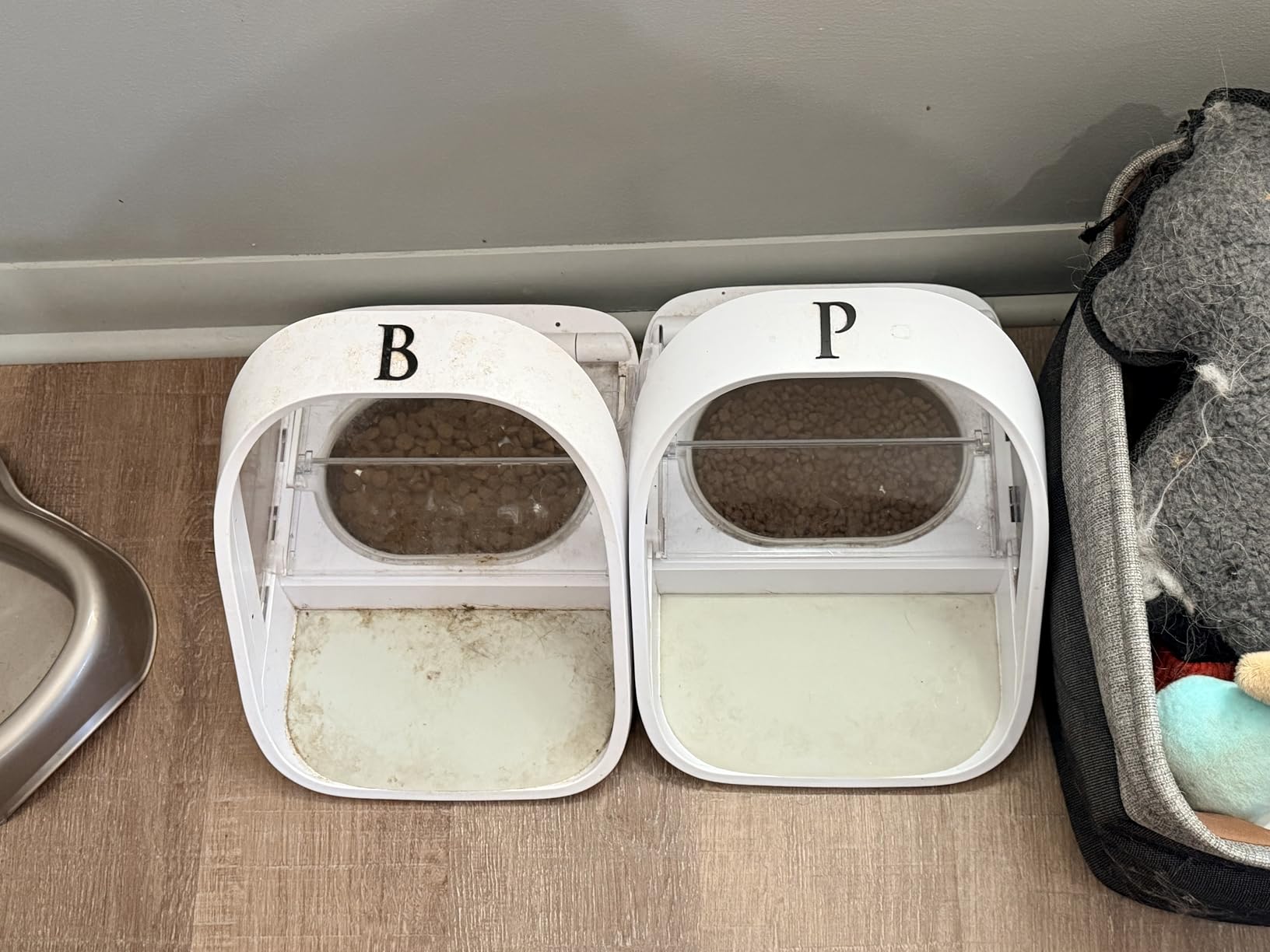 Sure Petcare - SureFlap - SureFeed - Microchip Pet Feeder - Selective-Automatic Pet Feeder Makes Meal Times Stress-Free, Suitable for Both Wet and Dry Food - MPF001 customer photo 1