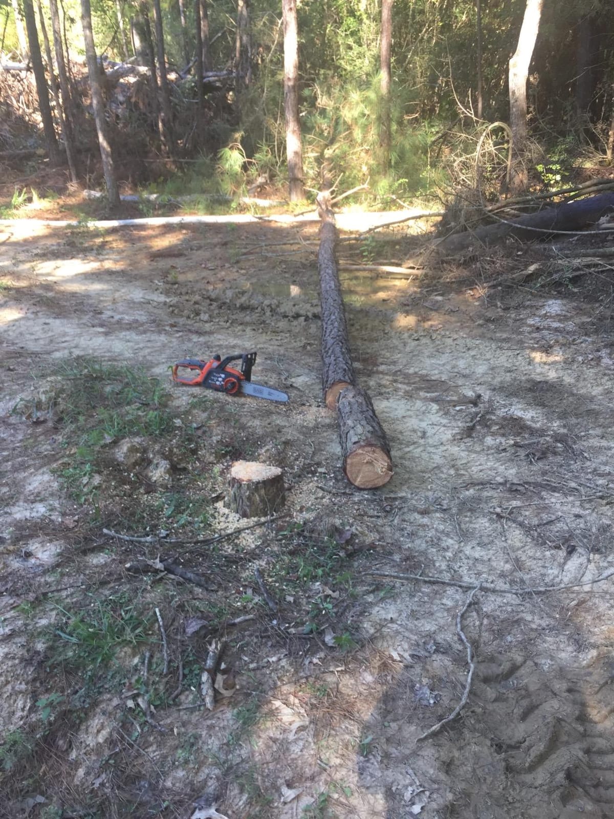 BLACK+DECKER 20V MAX Electric Chainsaw, 10 inch Cordless Chainsaw with Battery and Charger Included, Automatic Oiler, Low Kickback Power Chain Saws (LCS1020) customer photo 1