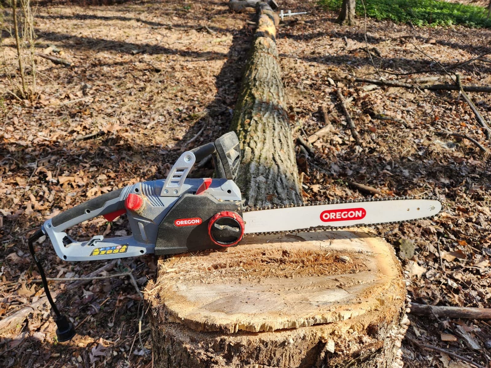 Oregon CS1500 Self-Sharpening Electric Chain Saw | Powerful, 15 Amp, Low Kickback, Self-Sharpening Integrated PowerSharp Chain, Automatic Oiler, 2-Year Warranty customer photo 1