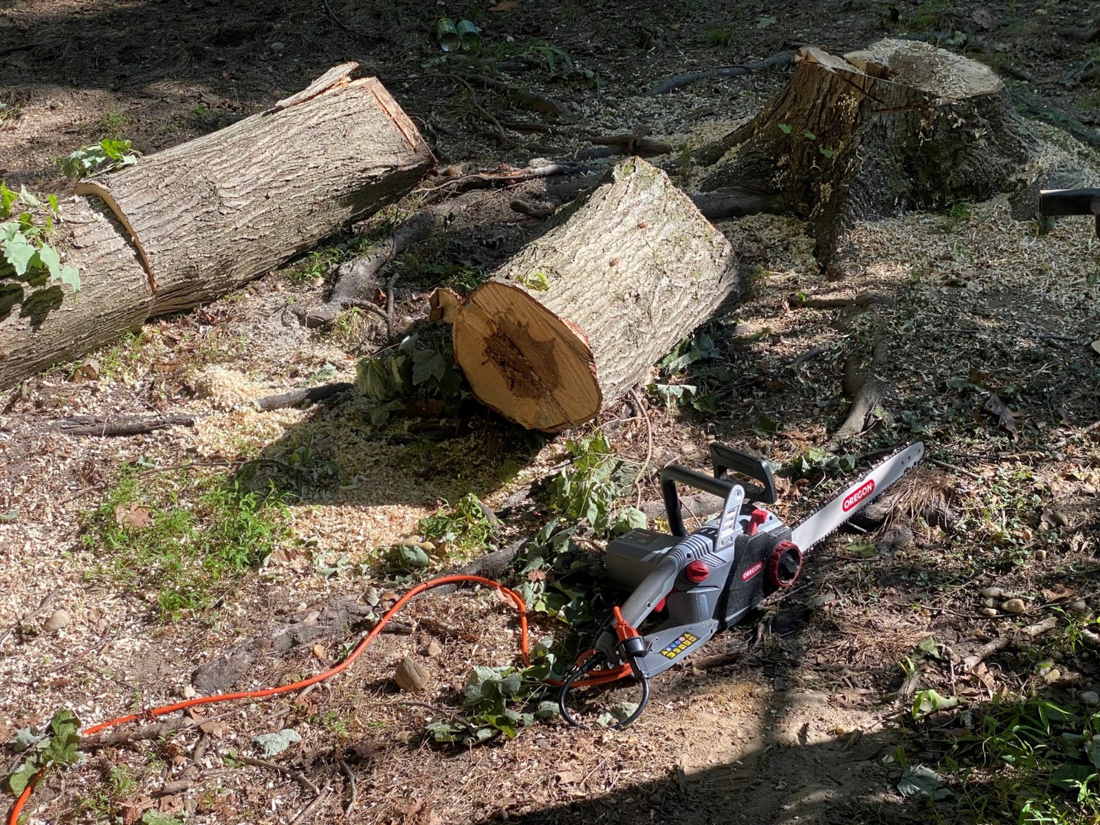 Oregon CS1500 Self-Sharpening Electric Chain Saw | Powerful, 15 Amp, Low Kickback, Self-Sharpening Integrated PowerSharp Chain, Automatic Oiler, 2-Year Warranty customer photo 2