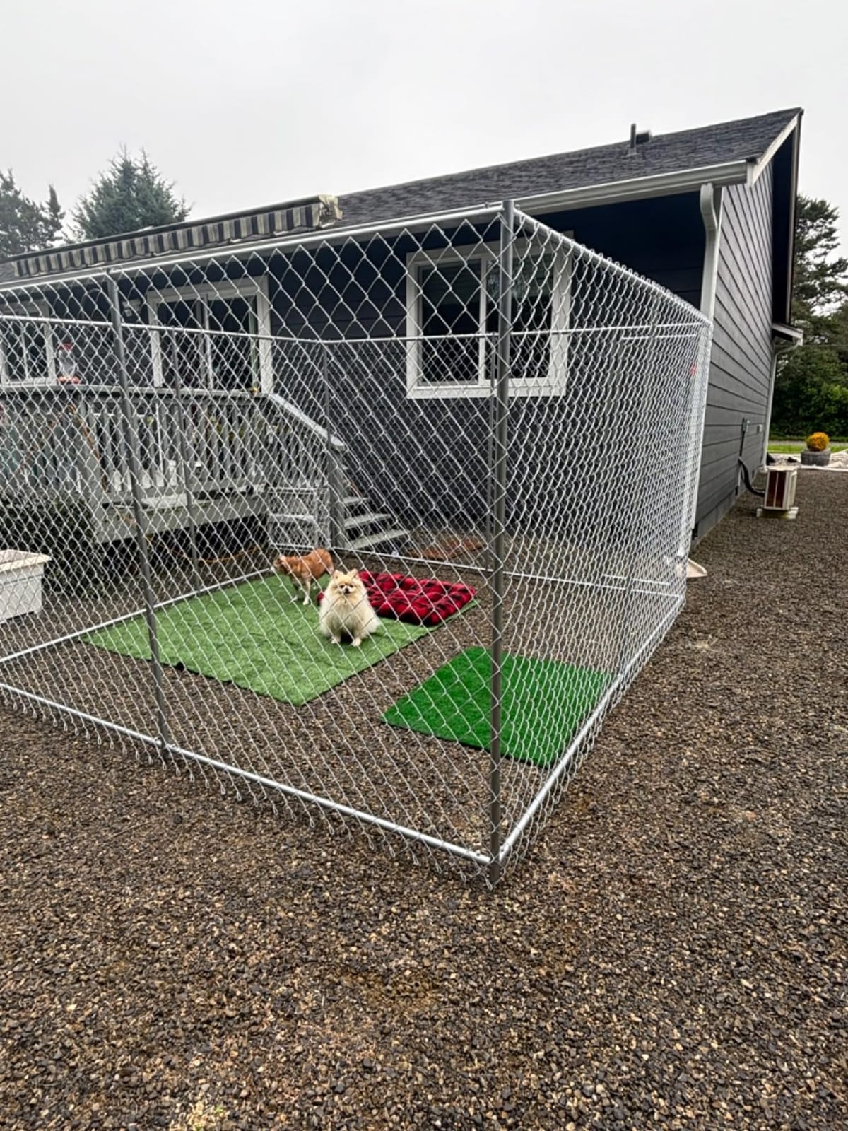 Lucky Dog 10' x 10' x 6' Heavy Duty Outdoor Welded Galvanized Steel Chain Link Dog Kennel Enclosure with 2 Configurations and Latching Door, Silver | Builds as 10 x 10 Ft or 5 x 15 Ft, 12 Gauge Mesh, Welded Steel Frame, Double Powder Coated, 1.5 In Raised Legs customer photo 2
