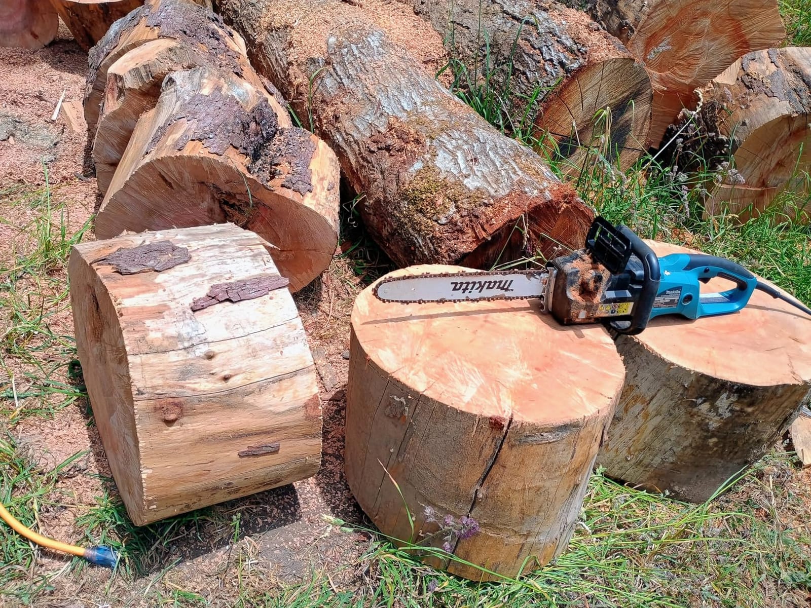 Makita UC4051A Chain Saw, Electric, 16 in. Bar customer photo 2