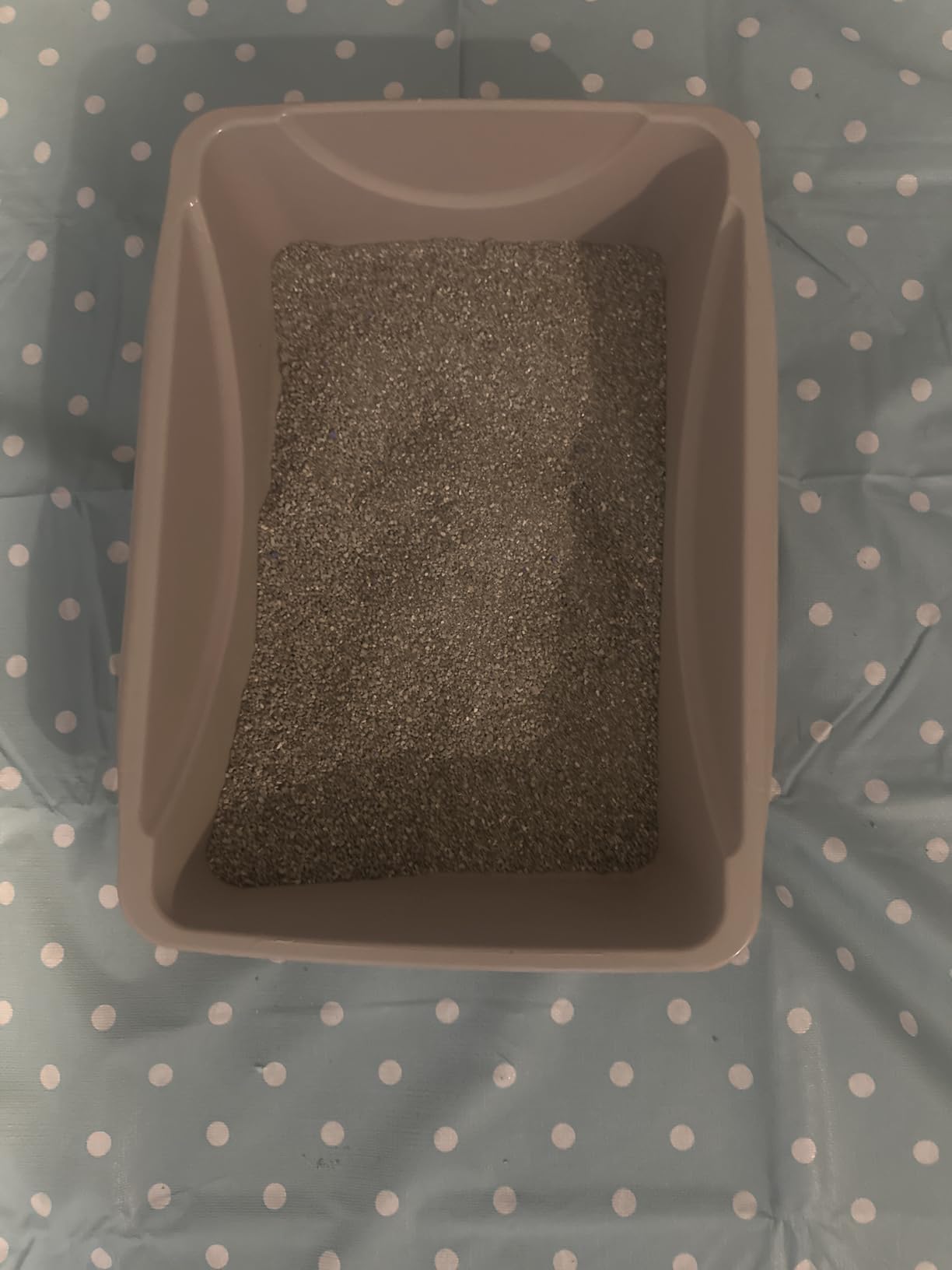Petmate XL Cat Litter Box, High Capacity, Open, Blue customer photo 1