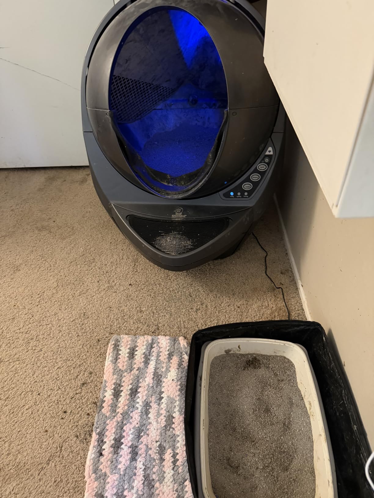 Petmate XL Cat Litter Box, High Capacity, Open, Blue customer photo 2