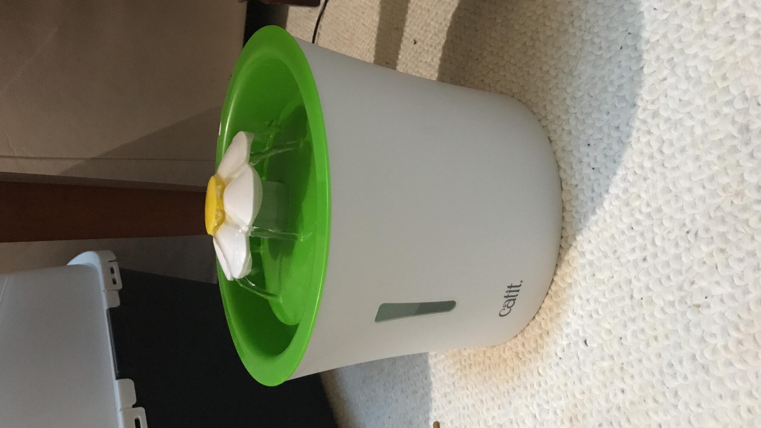 Catit Flower Fountain with Triple Action Filter, Cat Drinking Water Fountain, 3 L, Green customer photo 1