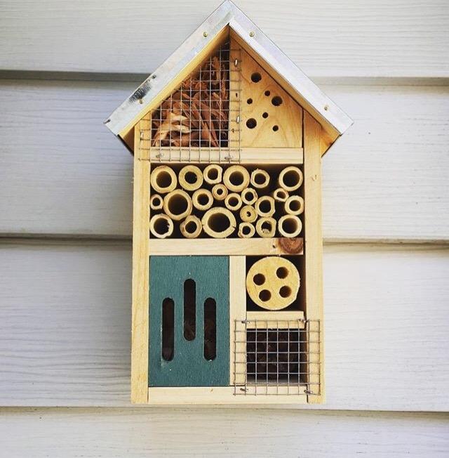 Niteangel Natural Wooden Insect Hotel, Garden Insect House for Ladybugs, lacewings, Butterfly, Bee, Bug customer photo 1