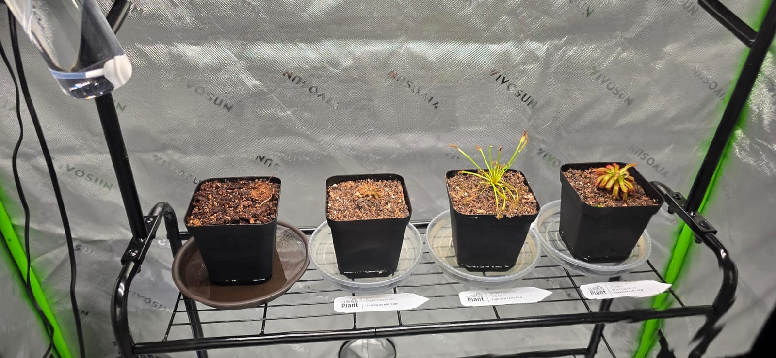 VIVOSUN S448 4x4 Grow Tent 48